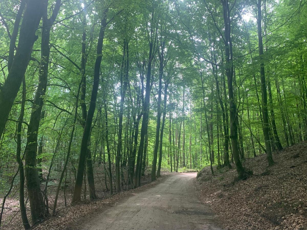 Kaszubska Osada Domki Z Balia Tuchomie Exterior foto